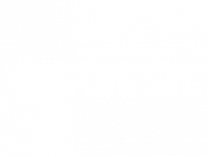 NYS Music white