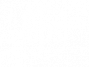 White Logos UPS